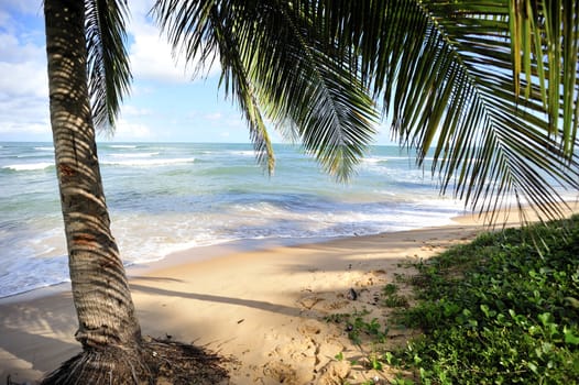 Praia do Forte in Salvador de Bahia, Brazil