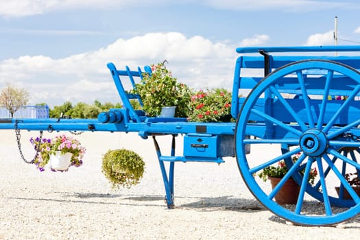 Valensole region, Provence, France