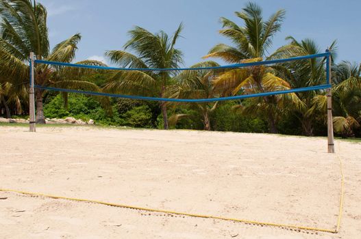 volleyball arena on a tropical beach surrounded by palm trees (blue sky)