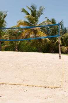 volleyball arena on a tropical beach surrounded by palm trees (blue sky)