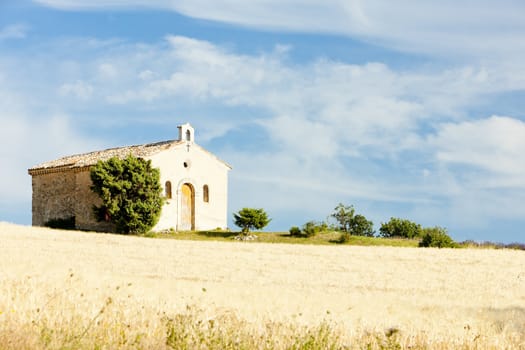 chapel with grain field, Plateau de Valensole, Provence, France