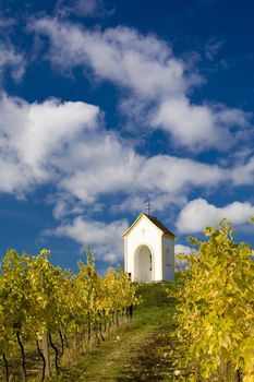 chapel near Hnanice, Znojmo Region, Czech Republic