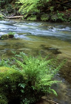 Kamenice river, Ceskosaske Svycarsko, Czech Republic