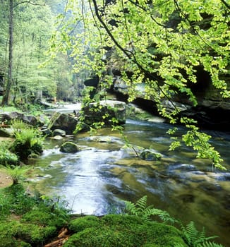 Kamenice river, Ceskosaske Svycarsko, Czech Republic