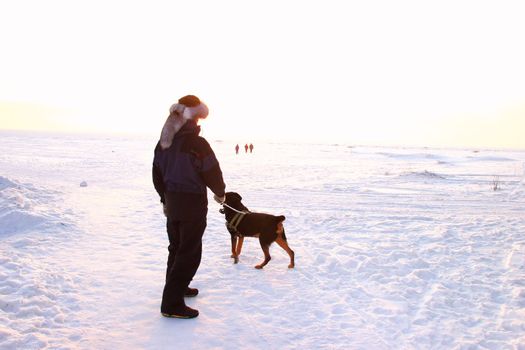 Men with rottweiler. Winter view to the beach. Beautiful sunset