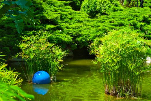 Beautiful garden with pond