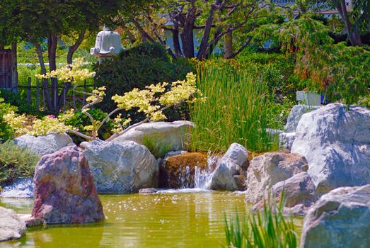 Beautiful garden with pond