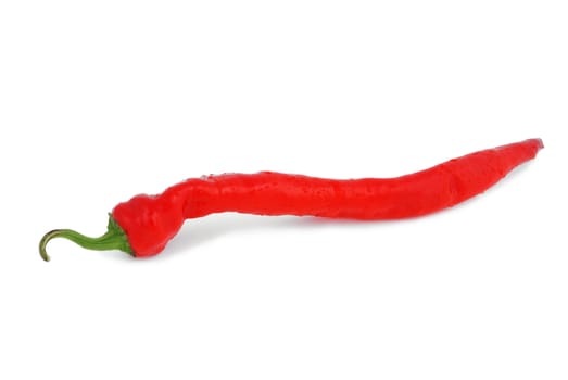red pepper on a white background