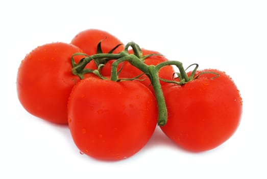 bunch of tomatoes on a white background