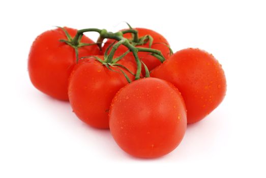 bunch of tomatoes on a white background