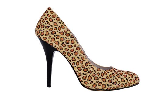 ladies shoes leopard on a white background