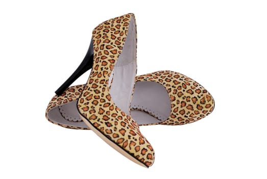 ladies shoes leopard on a white background