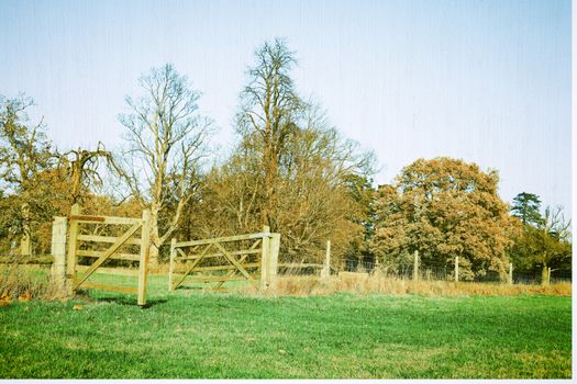 A nice textured image of a rural farmland scene in England
