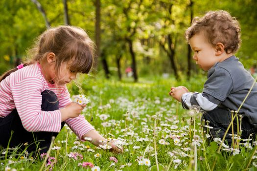 Two sweet little kids crouching, picking daisies in springtime