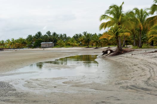 Palm trees and huts in a lagoon drained