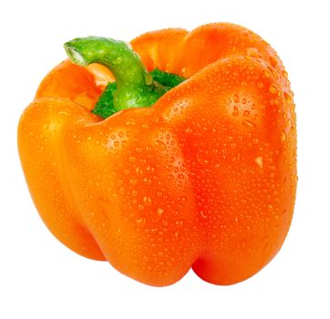 Pepper - very tasty and useful vegetable. It is used in kitchens of many people