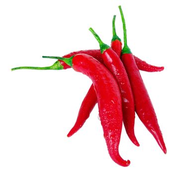 Pepper - very tasty and useful vegetable. It is used in kitchens of many people