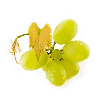 Small bunch of green grapes isolated on white