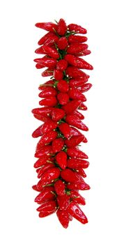 Sharp pepper - very tasty seasoning. It is used in kitchens of many people