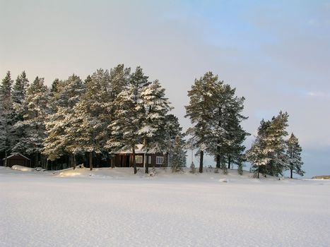 WInter landscape 