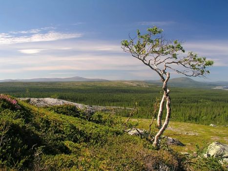 Beautiful mountain landscape with blue sky 
