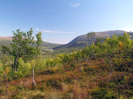 Beautiful landscape of autumn mountain