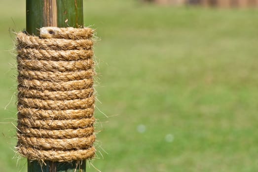 Large rope on bamboo tree with green grass as background