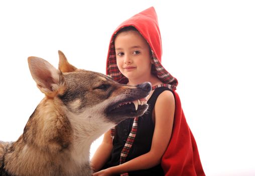Little Red Riding Hood and angry wolf,focus on the animal.