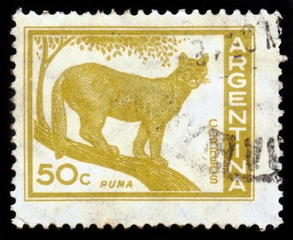 ARGENTINA - CIRCA 1959: a stamp printed in the Argentina shows Puma, Cougar, circa 1959