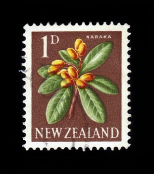 NEW ZEALAND - CIRCA 1967: A stamp printed in New Zealand shows flowers karaka - Corynocarpus laevigatus, circa 1967