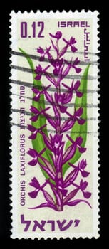 ISRAEL-CIRCA 1970: A post stamp printed in Israel shows flowers of Israel , orchis laxiflora, loose-flowered orchid, circa 1970