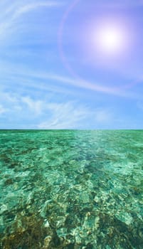 Coral Scape at PhiPhi Island with Perfect sunny blue Sky phuket thailand