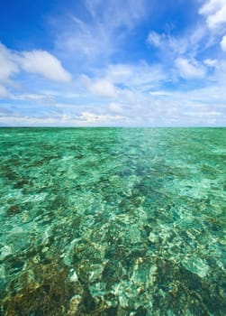 Coral Scape at PhiPhi Island with Perfect Sky