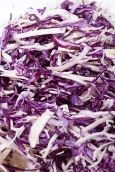 White and Red  Cabbage