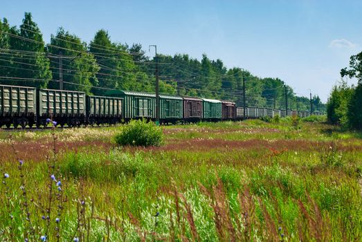 Summer landscape and freight train