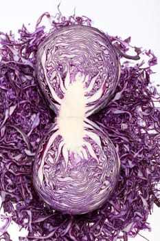  Red  Cabbage  on White Background 