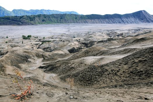 Desert Sand Dune Mountain Landscape of Bromo Volcano crater, East Java Island Indonesia