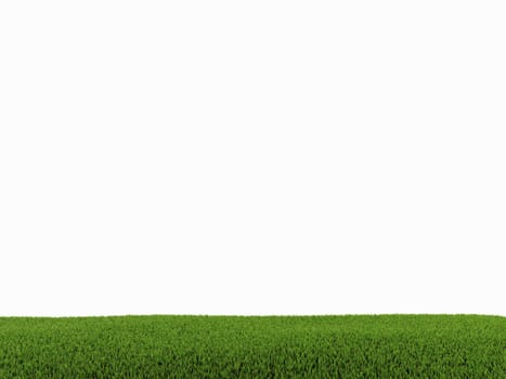 3d rendered of green grass on white background