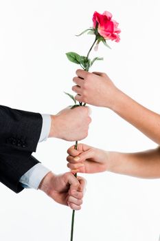 rose in hands of man and woman