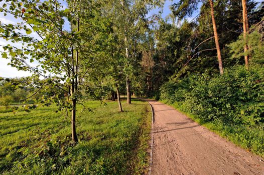 Pathway in summer park at morning