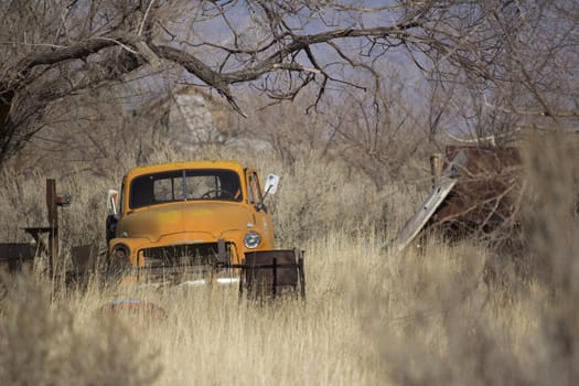 an old abandoned orange truck in the farm lands.