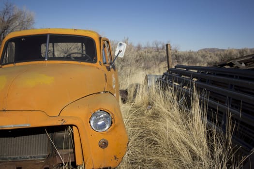 an old abandoned orange truck in the farm lands.