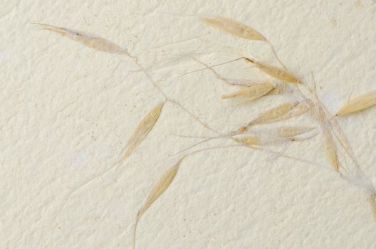 Recycled paper texture closeup background.