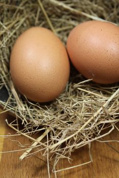 Two fresh brown eggs in a nest of straw on a wooden block base. Set on a portrait format with copy-space available.