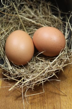 Two fresh brown eggs in a nest of straw on a wooden block base. Set on a portrait format with copy-space available.