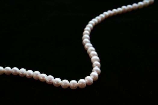 pearls necklace on the black velvet background