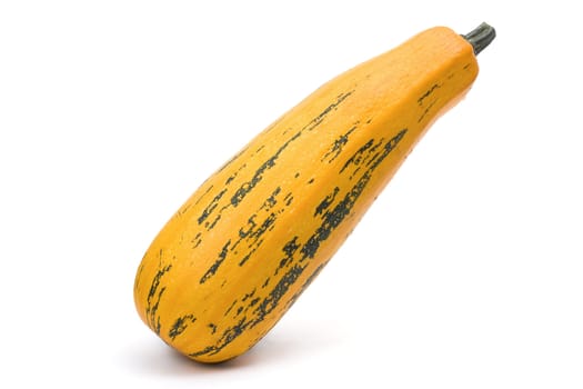 Vegetable marrow - it is isolated on a white background
