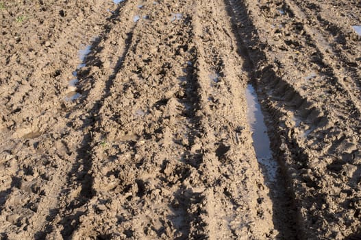 Closeup of dirt country road after the rain