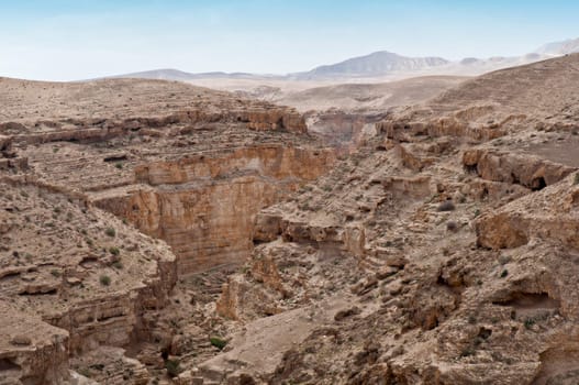 Judean Desert, under the scorching rays of the sun. Israel. Spring.