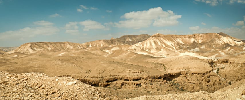 Judean Desert, under the scorching rays of the sun. Israel. Spring.